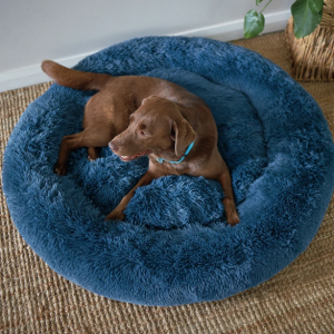 buy donut dog bed official website